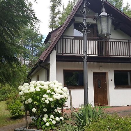 Dom Nad Jeziorem Villa Gostynin Exterior foto