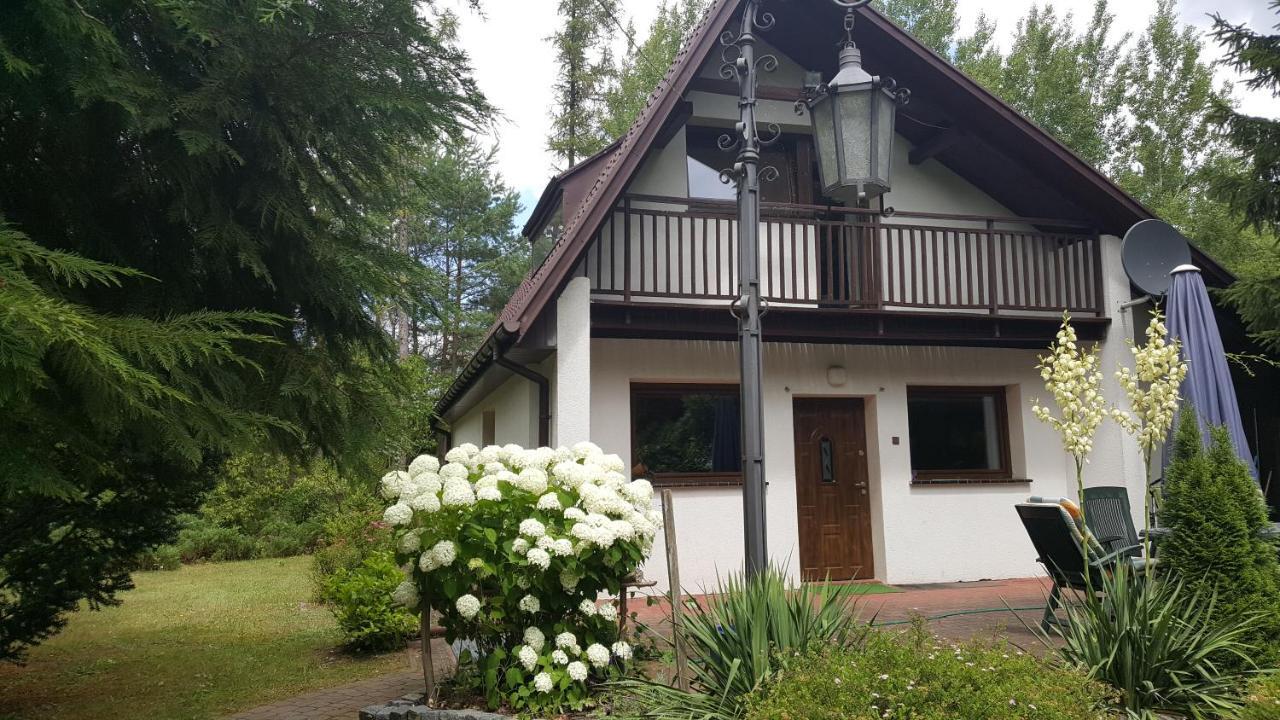 Dom Nad Jeziorem Villa Gostynin Exterior foto